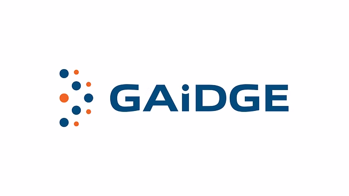 Gaidge 360 Consutling Logo