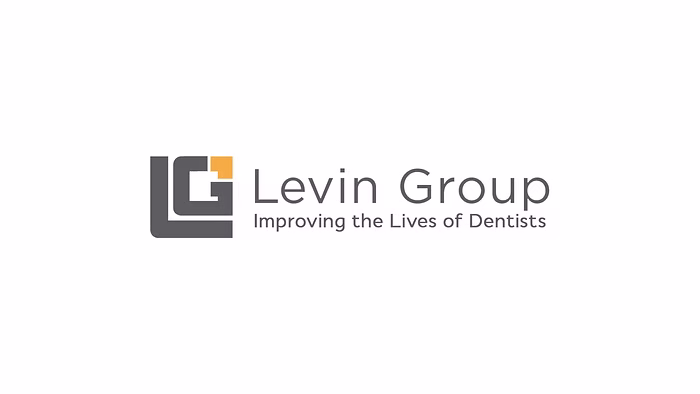 Levin Group Logo